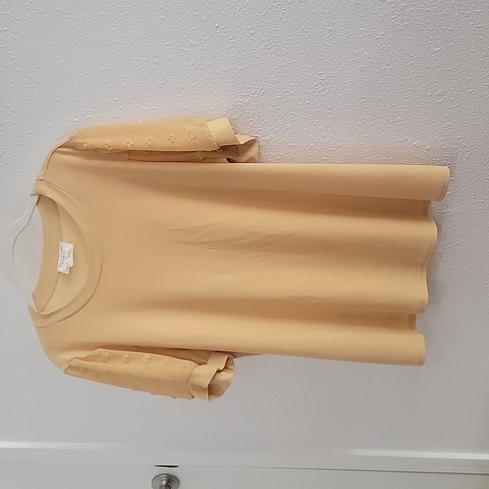 Pale Yellow Blouse